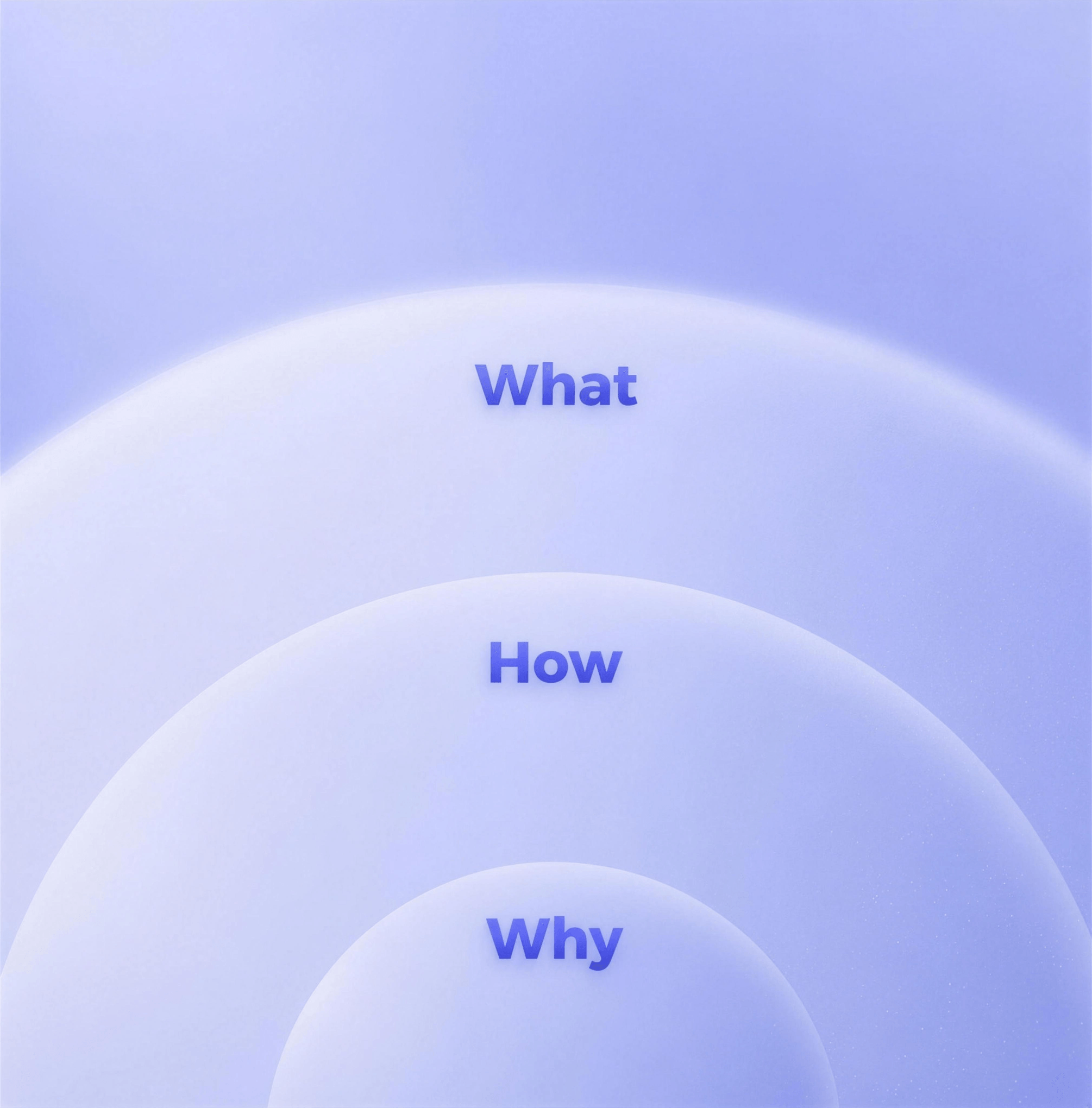 Illustrazione What, How e Why per applicativi costruiti sul processo aziendale.